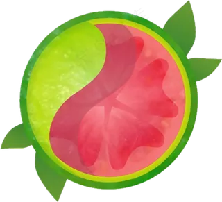 番石榴免抠素材 (16)