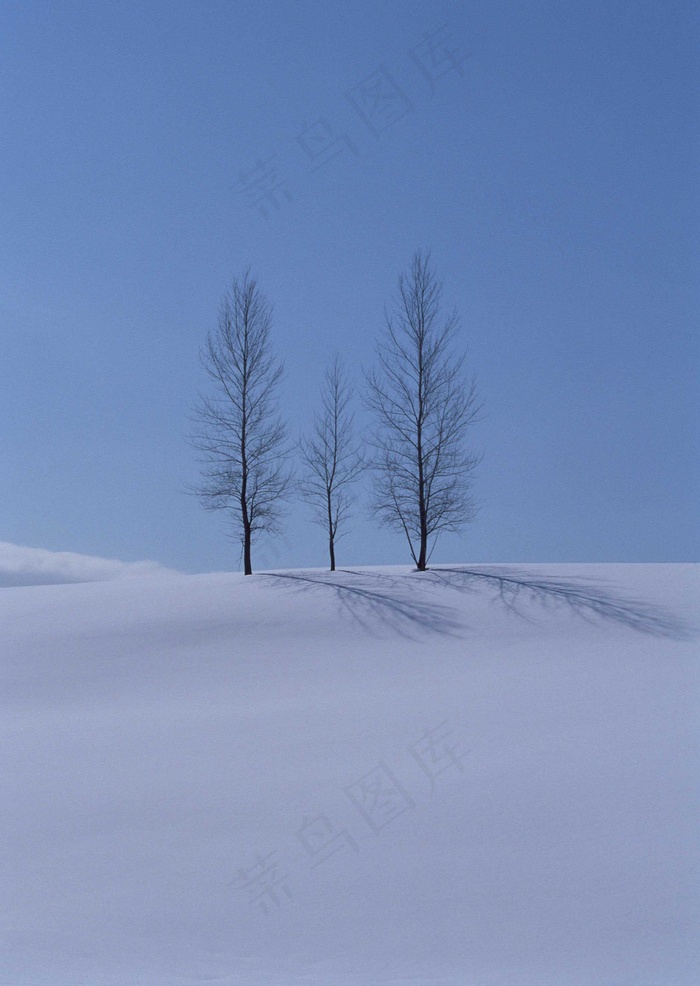 冰天雪地 476