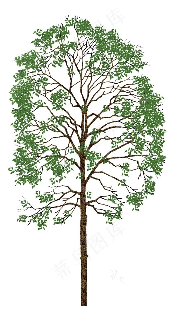 树木矢量图片