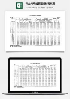 市公共車船管理财务狀況excel模板