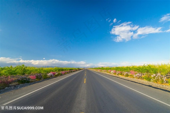 新疆公路马路风景