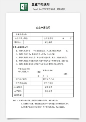 企业申报说明excel模板