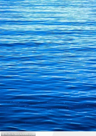 波光粼粼的水面