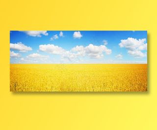 麦田风景素材图片下载