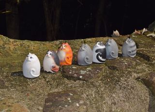 手工陶瓷猫图片