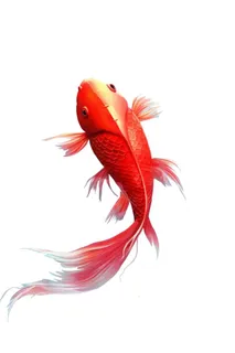 简约鲤鱼跃龙门