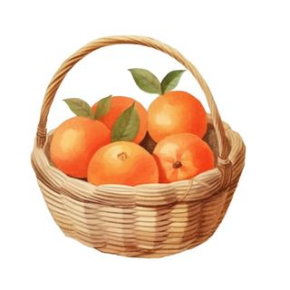一篮橘子水果插画免抠