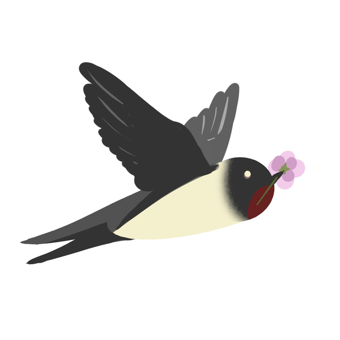 水彩手绘春季春天柳树柳条枝条小鸟小燕子元素PSD设计素材PNG图片