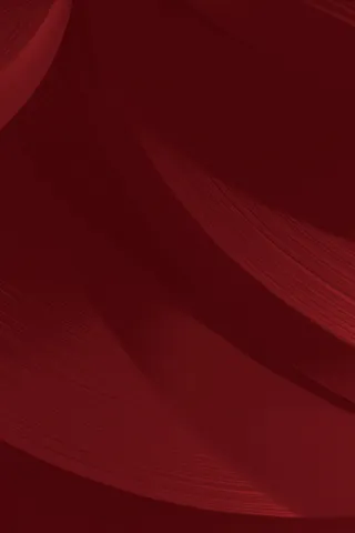 红色庄严海报背景