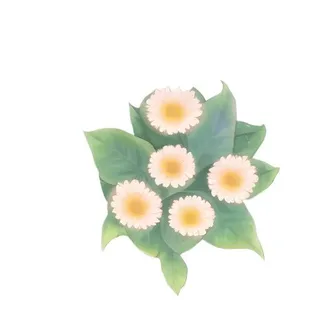 花花丛绿叶免抠