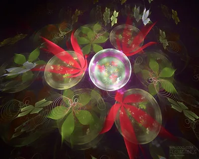 图片设计素材背景鸟语花香 图片设计素材背景鸟语花香