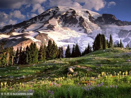 雪山草地美景壁纸 雪山草地美景壁纸