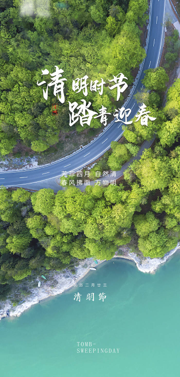 清明节国潮风节气海报psd模版下载