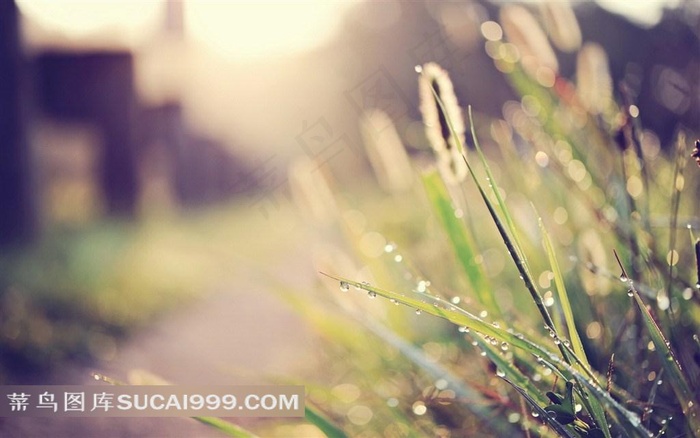 春暖花开的日子续