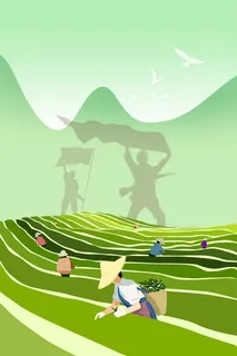 茶山采茶革命老区茶叶 茶山采茶革命老区茶叶