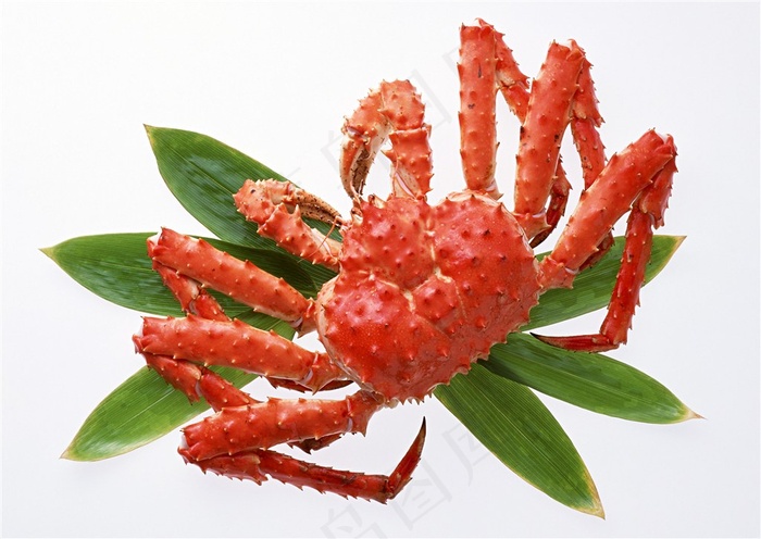 帝王蟹海鲜美食图片素材