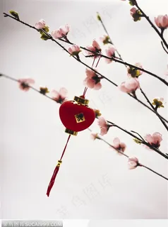 美丽的梅花与灯龙 美丽的梅花与灯龙