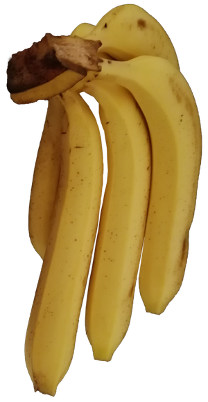 金黄色大把香蕉免抠摄影元素素材