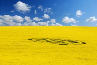 黄色田园风光图片