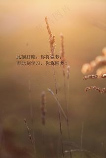 高考励志图片手机壁纸