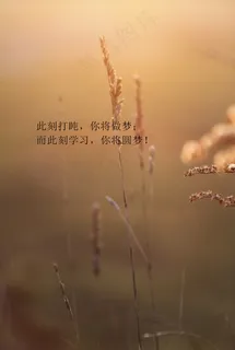 高考励志图片手机壁纸