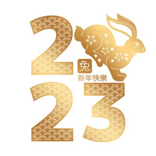 2023年兔年金色数字