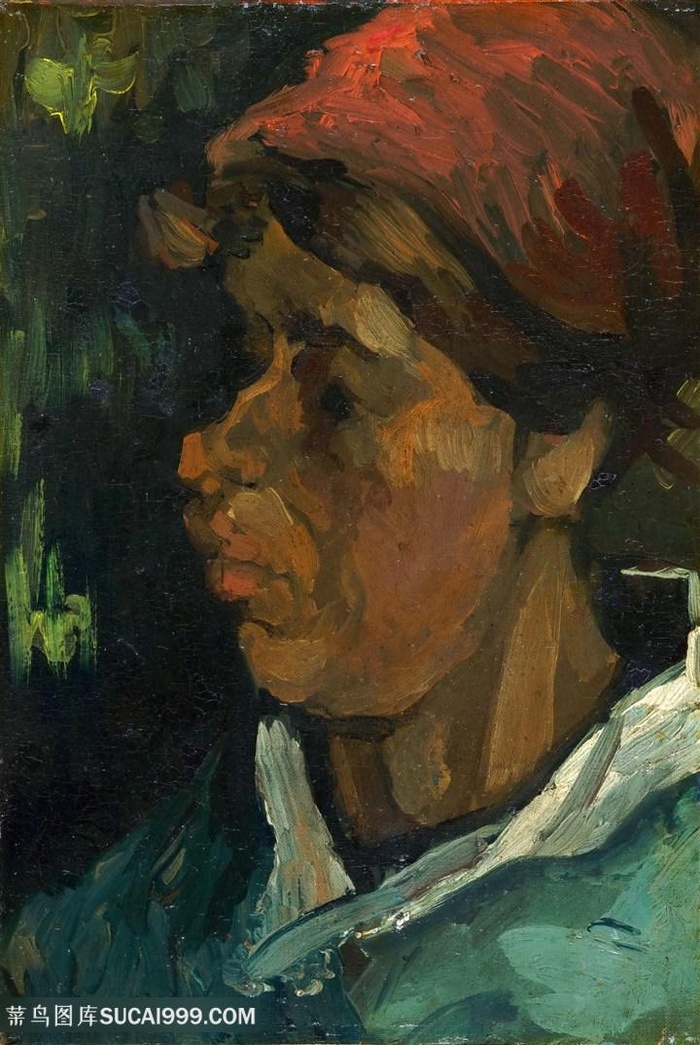 戴帽子的农妇的头装饰画