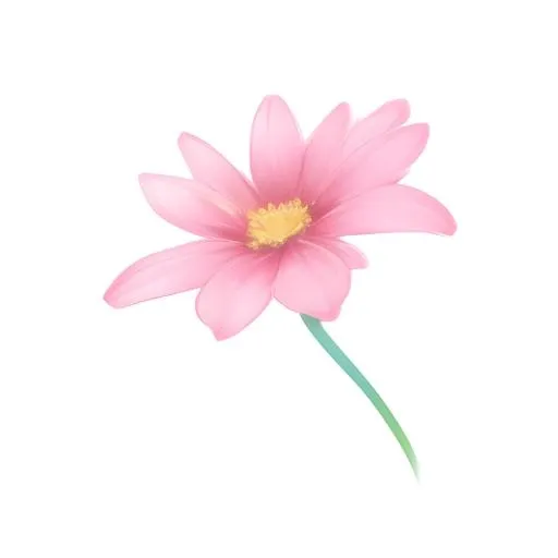 花免抠(2048x2048)