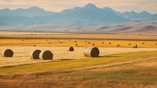 秋天的田地里的堆满了草垛摄影图
