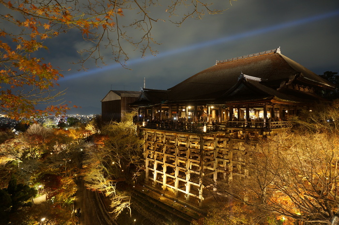 高清唯美城市夜景风景