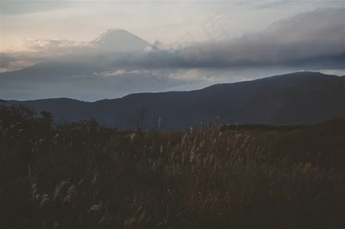 漫山遍野的野外美景