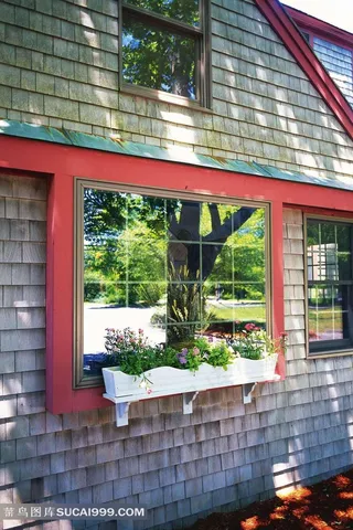 玻璃窗上反映出的庭院花园树木