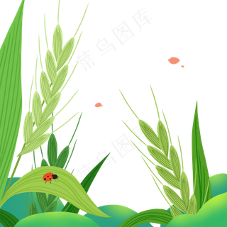 小满节气卡通图片  