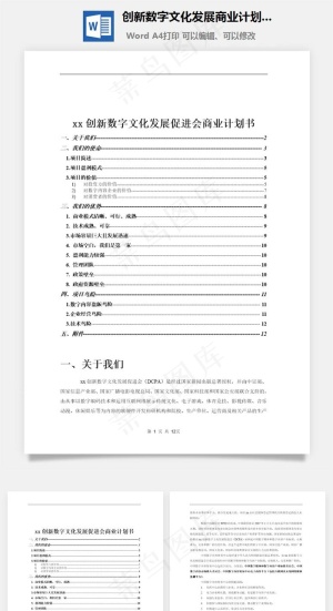 创新数字文化发展商业计划书word文档