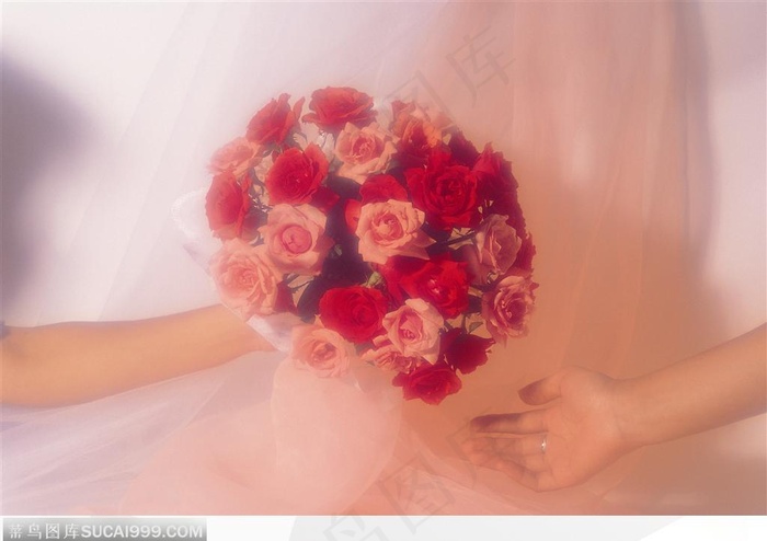 情人节物语-手中的玫瑰花束