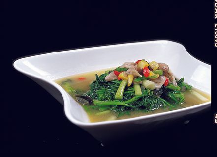 CXC04118上汤西洋菜