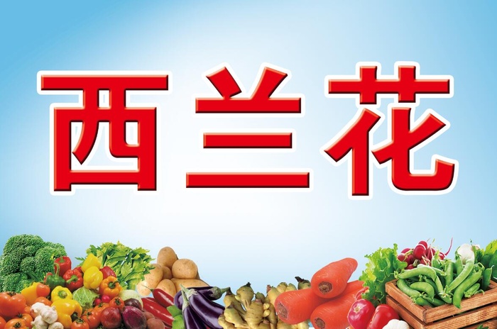 菜地菜牌 菜地牌