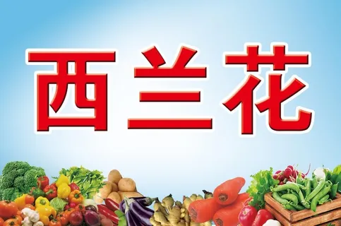 菜地菜牌 菜地牌