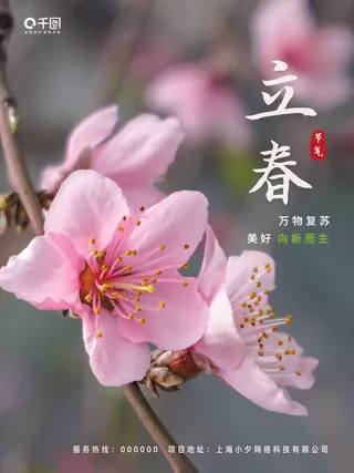 24节气立春春季新春春天海报模板PSD分层设计素材源文件模板