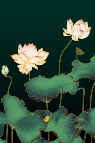 绿色简约清新莲花节气背景