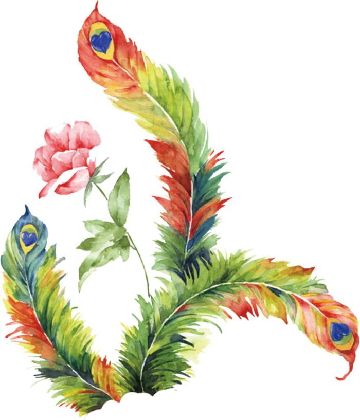 彩色凤尾花素材图片