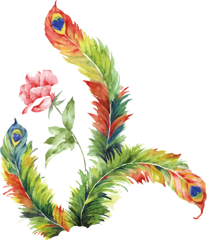 彩色凤尾花素材图片