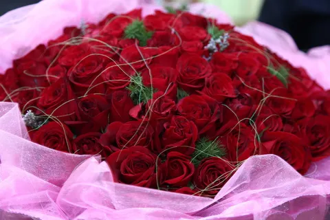 99朵玫瑰花图片 99朵玫瑰花图片