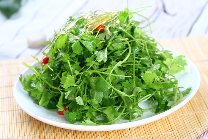 L01703翅针信芹7