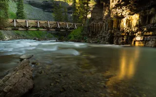 河流 水 青草 石头 小河 天空 树