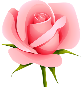 鲜花玫瑰免扣素材