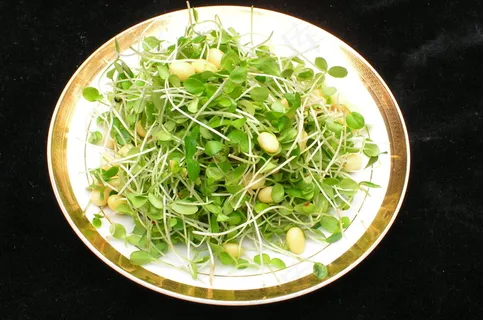 2735香椿苗拌黄豆.JPG 2735香椿苗拌黄豆.JPG