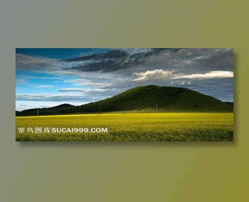 内蒙古呼伦贝尔草原风景素材