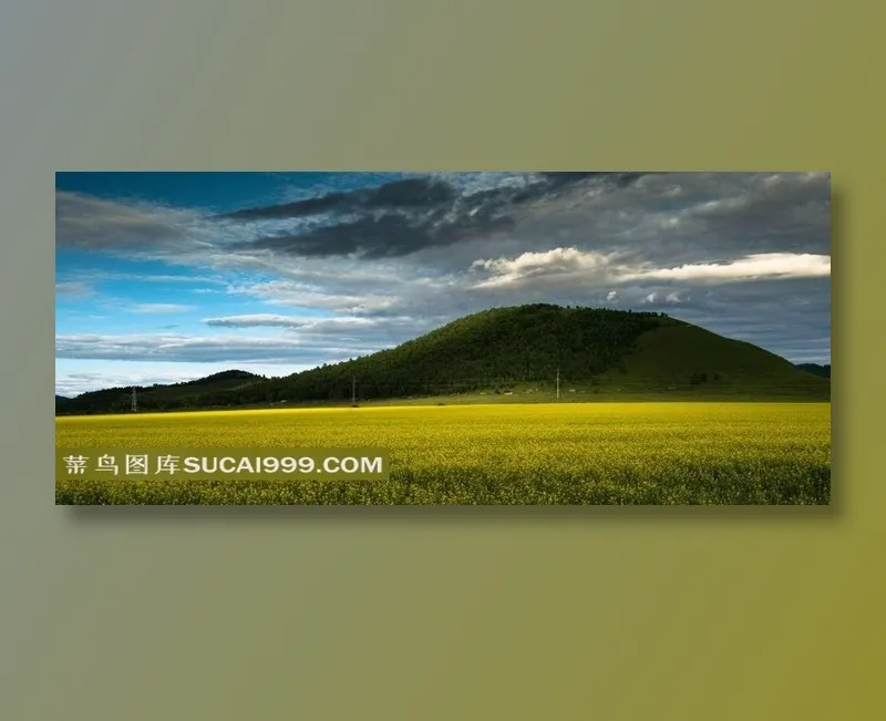 内蒙古呼伦贝尔草原风景素材