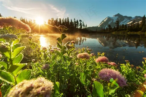 唯美湖畔小花山水风景图片 唯美湖畔小花山水风景图片